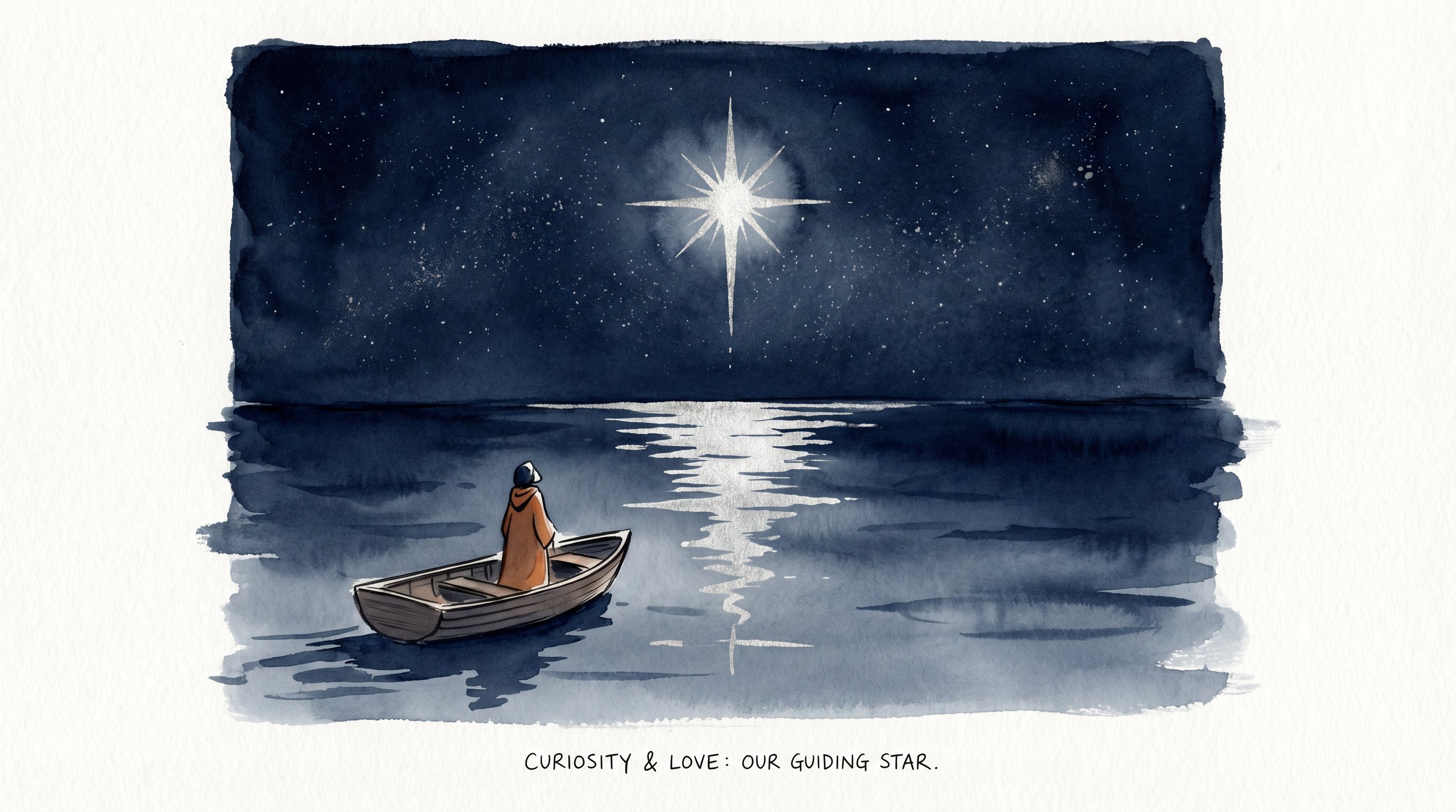 以好奇心为北极星